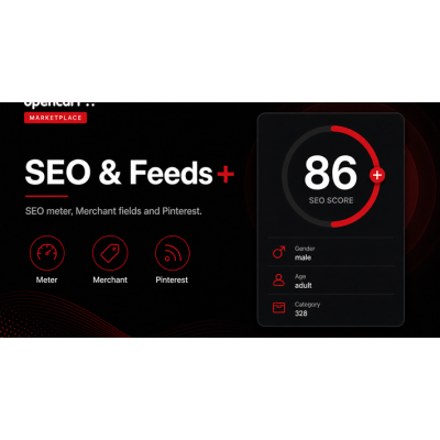 SEO & FEED PLUS +